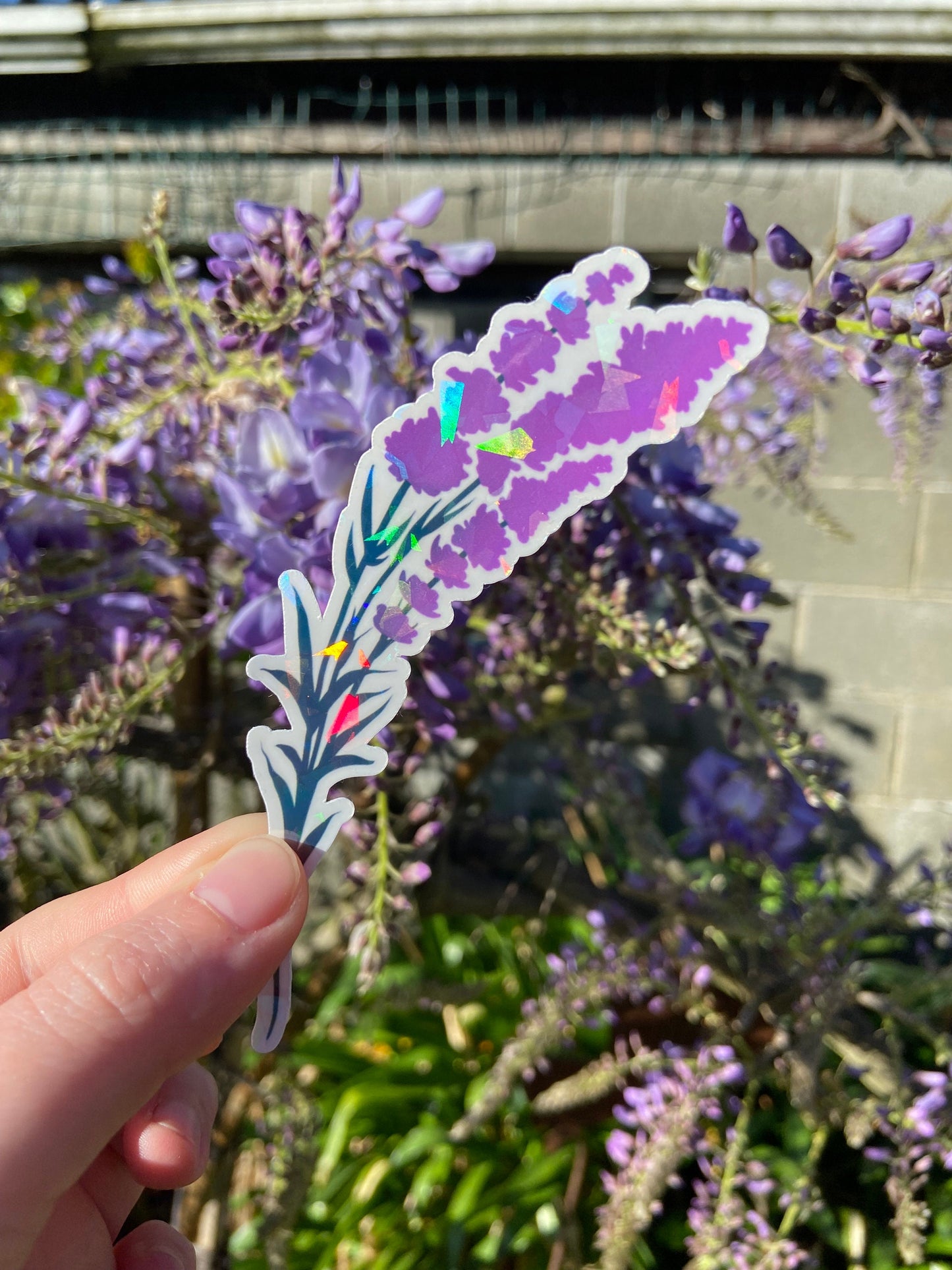 Lavender - Holographic Sticker